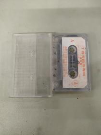 磁带 丁育芳南曲专辑（第四集）