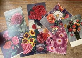 前苏联1959年发行的花卉明信片8张，未使用过，年代久远，品相如图，诚信交易，谨慎拍，售后不退。