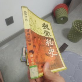 魏徽秘史 上