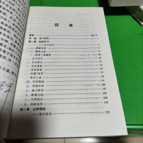 虎啸血野：华东野战军征战录