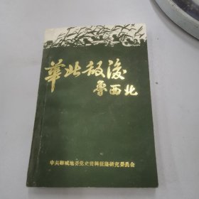 华北敌后鲁西北下