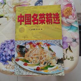 中国名菜精选 王伟刚 新疆美术出版社