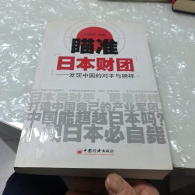 瞄准日本财团：发现中国的对手与榜样，内页干净