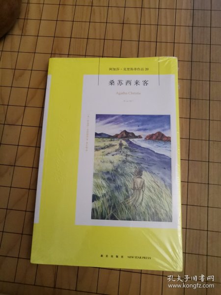 桑苏西来客：阿加莎·克里斯蒂侦探作品集20