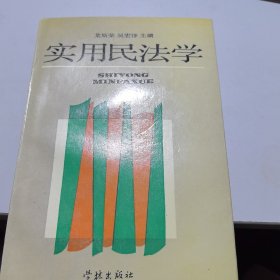 實(shí)用民法學(xué)