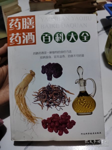 药膳药酒百科大全