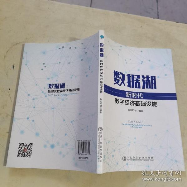 数据湖：新时代数字经济基础设施