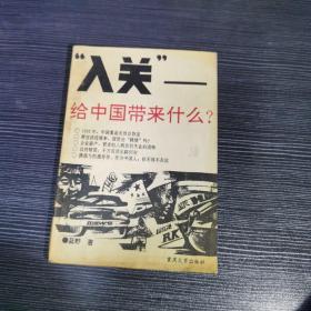 入关给中国带来什么