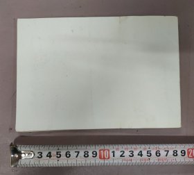 1952年福建省晋江中学初四六组全体同学毕业照画片2张(含泉州文庙魁星楼旧址)，25020714