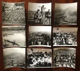 陕西省农业学大寨摄影作品新闻展览老照片180枚+来稿信札28页（补图）