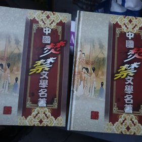 中国焚禁文学名著 22册全