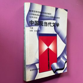 中国现当代文学.下册