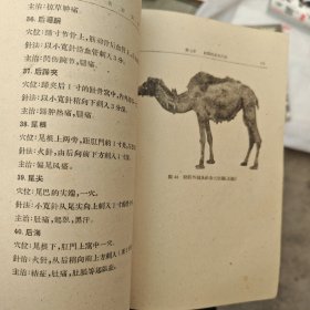 中兽医针灸学（正版书）1959年9月