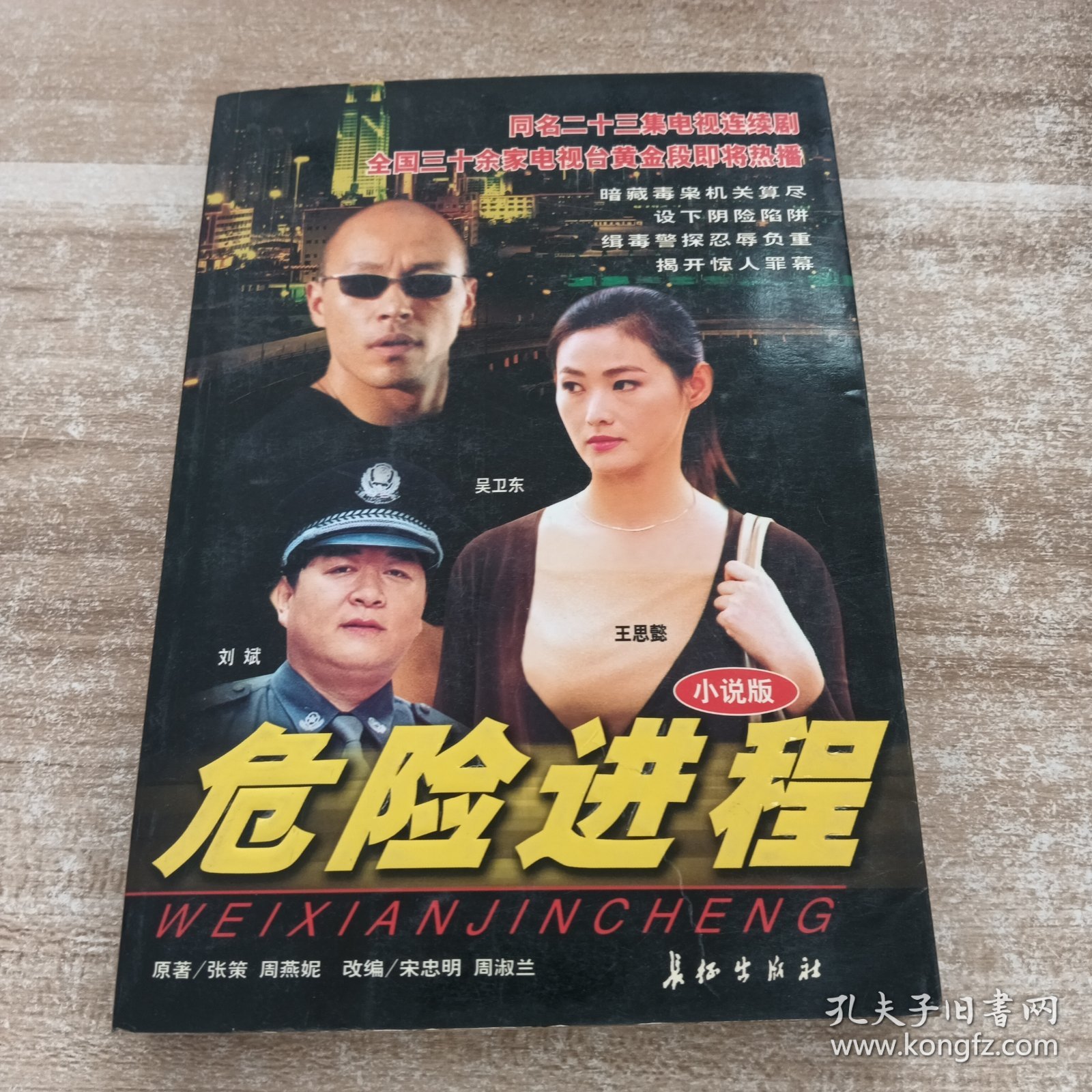 危险进程(小说版)(二十三集电视连续剧)