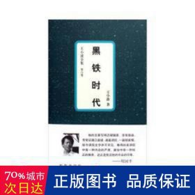 黑铁时代：王小波全集：8