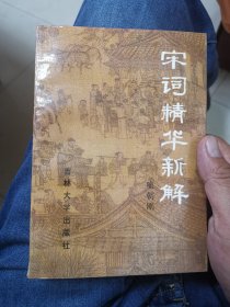 宋词精华新解