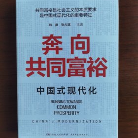 奔向共同富裕（读懂共同富裕，看清未来中国！深入浅出，雅俗共赏，两大TOP级智库联袂巨献，通俗理论重磅大作！）