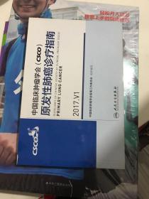 中国临床肿瘤学会原发性肺癌诊疗指南