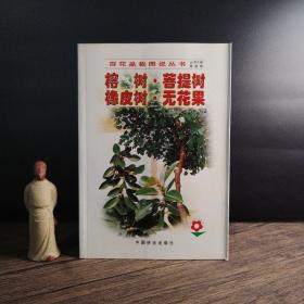 榕树菩提树橡皮树无花果