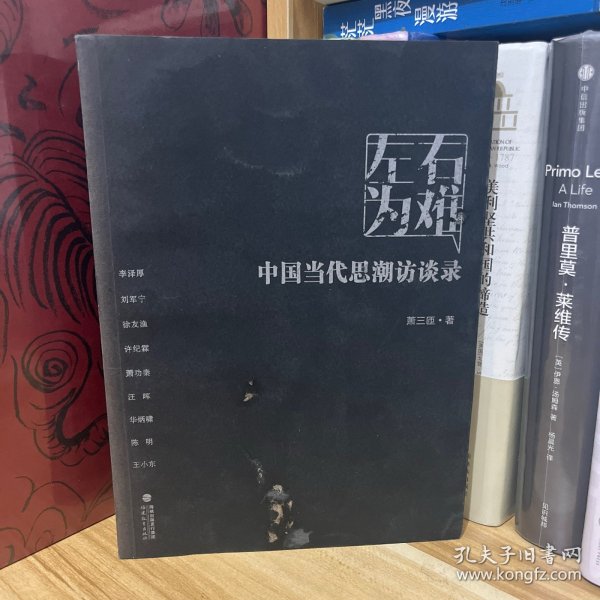 左右为难：中国当代思潮访谈录