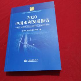 2020中国水利发展报告