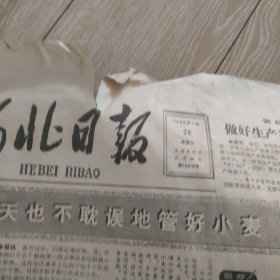 1980年2月24日河北日报。