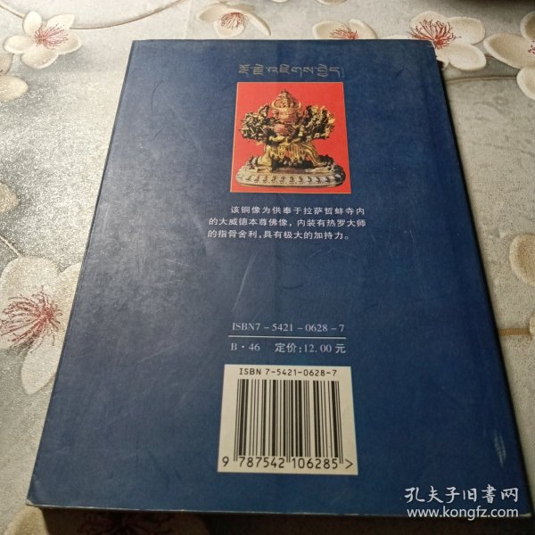 大威德之光：密宗大师热罗多吉扎奇异一生