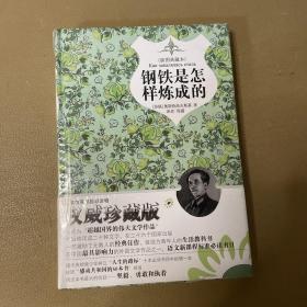 钢铁是怎样炼成的（精装插图典藏本）