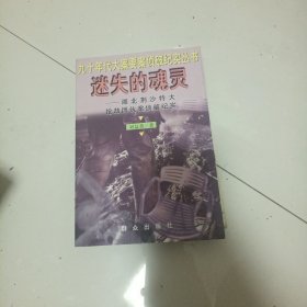 迷失的魂灵--湖北荆沙特大抢劫团伙案侦破纪实