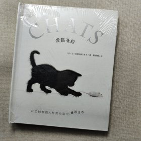 爱猫圣经