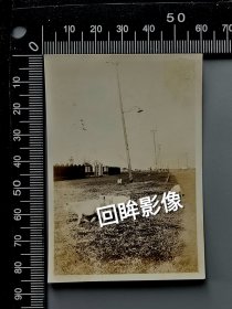 民国宝山吴淞某机构（疑似吴淞检疫所小白楼）前的羊羔