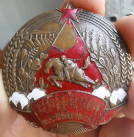 1956年内蒙古昭乌达盟第四届牧业劳模大会纪念奖章（超大）