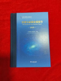 世界互联网发展报告(2023)(精)