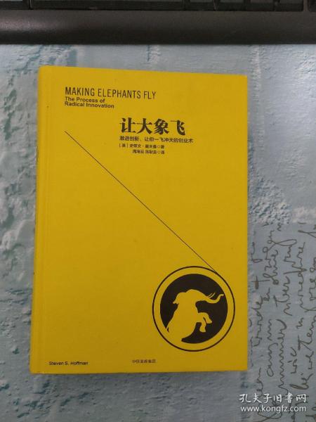 让大象飞:激进创新，让你一飞冲天的创业术