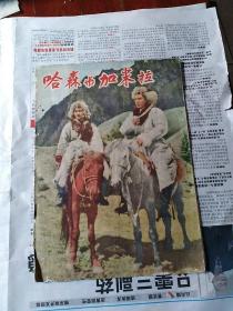 哈森与加米拉，50年代彩色电影宣传画页