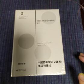 中国的新型正义体系：实践与理论（实践社会科学与中国研究·卷二）