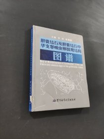 胆囊结石及胆囊结石中华支睾吸虫卵微观结构图谱