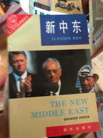 新中东