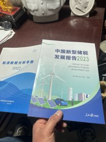 中国新型储能发展报告2023