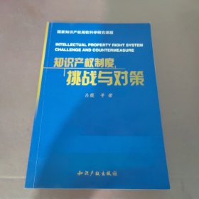 知识产权制度挑战与对策