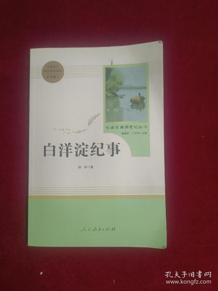 白洋淀纪事 名著阅读课程化丛书（统编语文教材配套阅读）七年级上