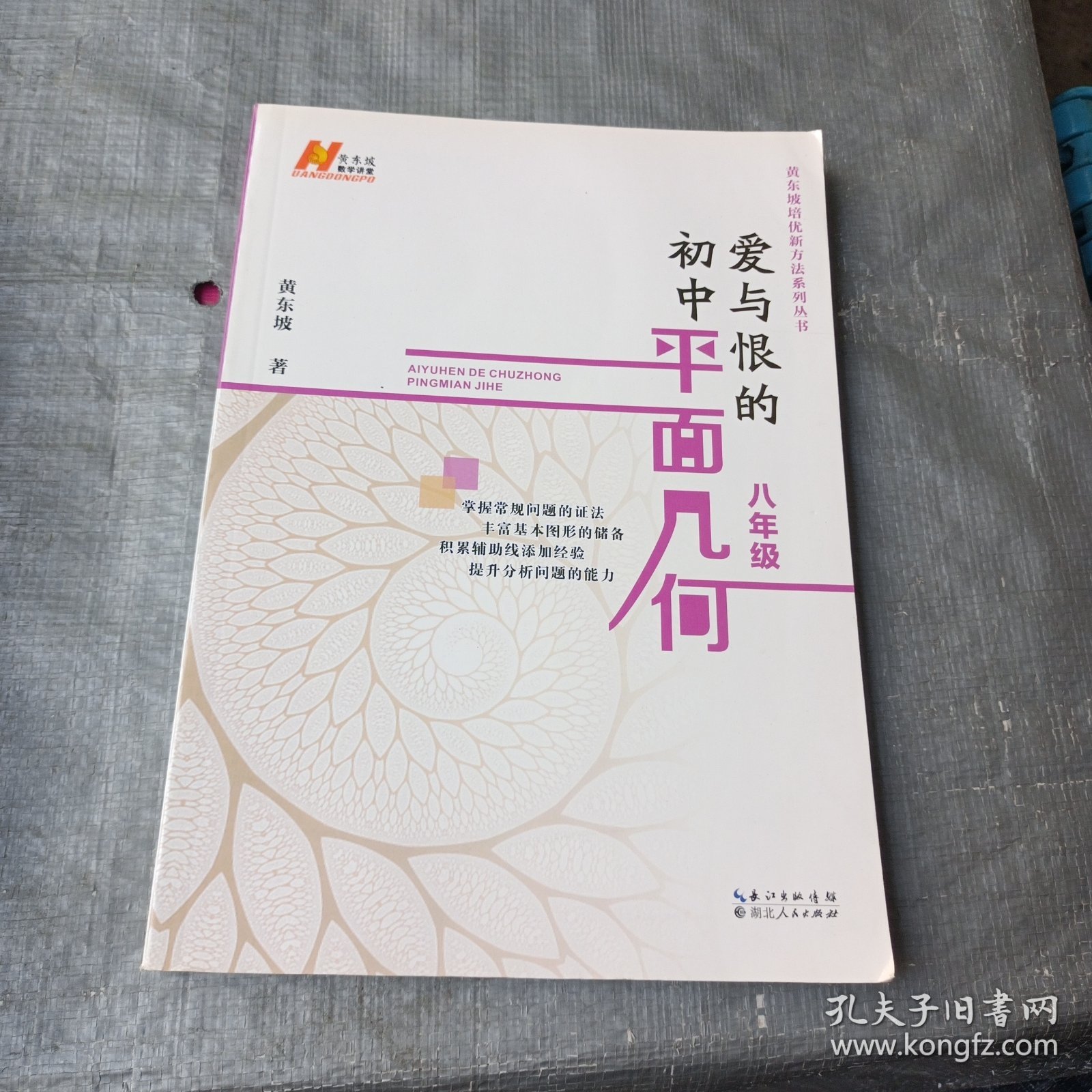 爱与恨的初中平面几何 八年级