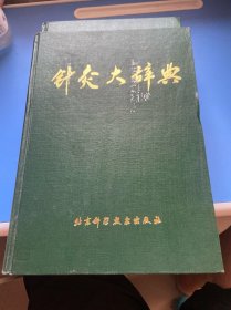 针灸大辞典