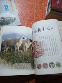 中国地理标志产品大典:内蒙古卷