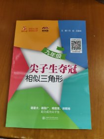 尖子生夺冠 相似三角形 九年级9年级 全国版