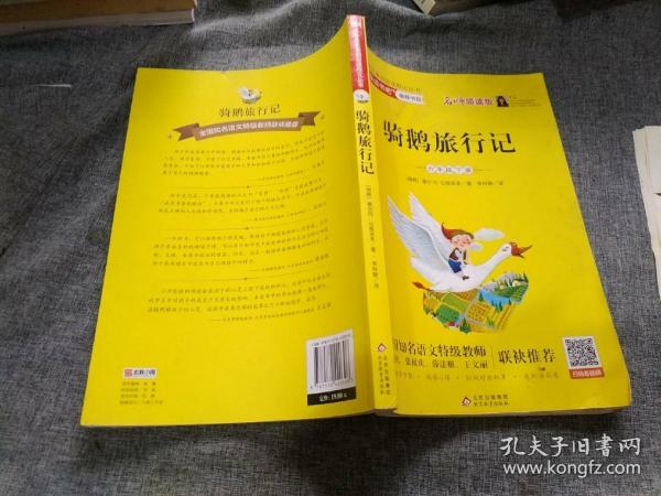 骑鹅旅行记（六年级下册名师讲解版）/“快乐读书吧”·统编小学语文教材配套阅读丛书