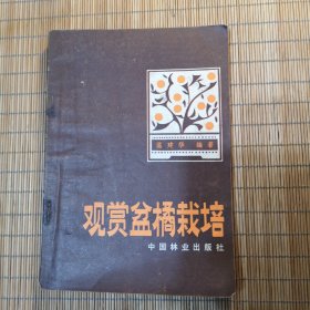 观赏盆橘栽培