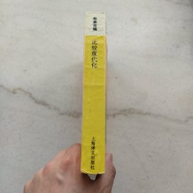 比较现代化:当代学术思潮译丛 世界现代化进程译丛