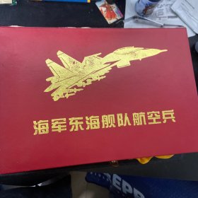 海军东海舰队航空兵 模型