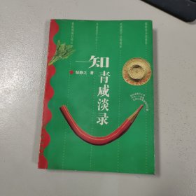 知青咸淡录